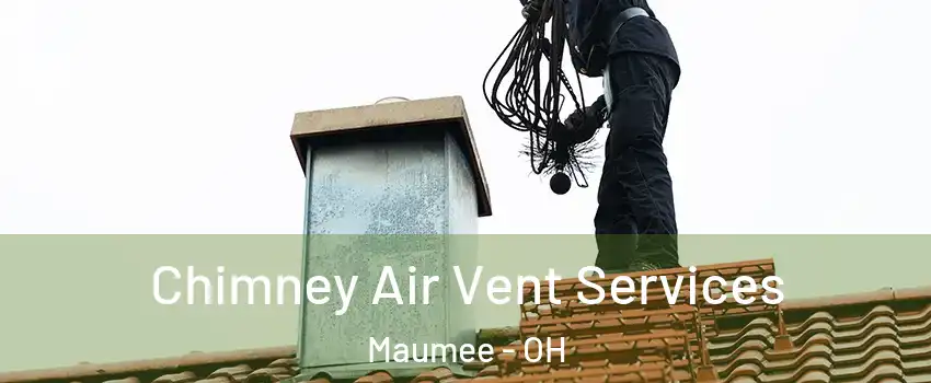  Chimney Air Vent Services Maumee - OH