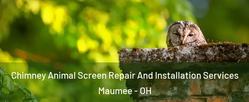  Chimney Animal Screen Repair And Installation Services Maumee - OH