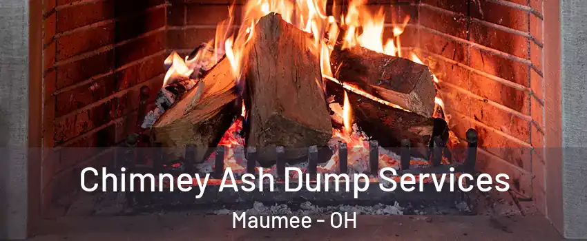  Chimney Ash Dump Services Maumee - OH