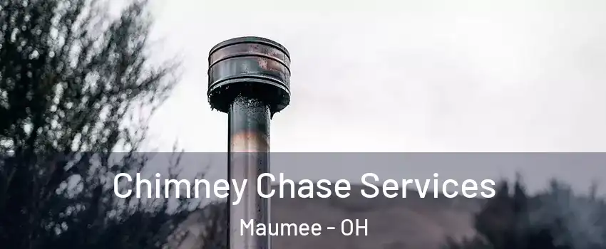  Chimney Chase Services Maumee - OH