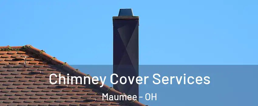  Chimney Cover Services Maumee - OH