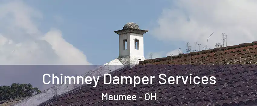  Chimney Damper Services Maumee - OH