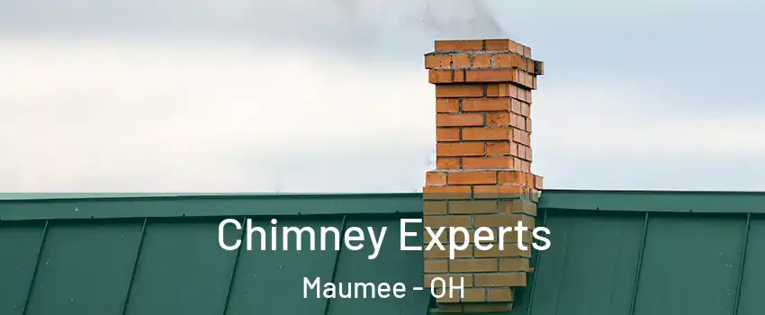  Chimney Experts Maumee - OH