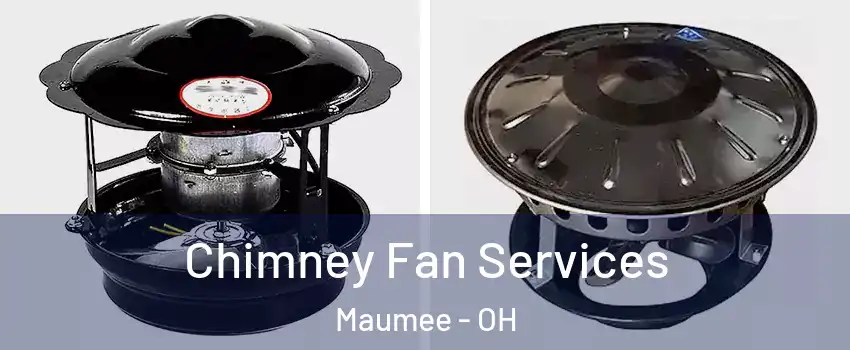 Chimney Fan Services Maumee - OH