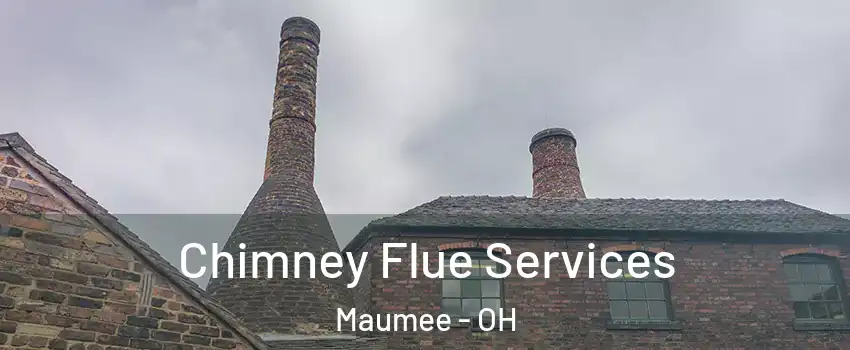  Chimney Flue Services Maumee - OH