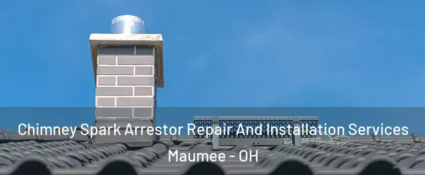  Chimney Spark Arrestor Repair And Installation Services Maumee - OH