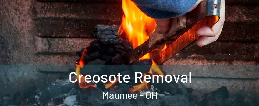  Creosote Removal Maumee - OH