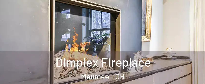  Dimplex Fireplace Maumee - OH