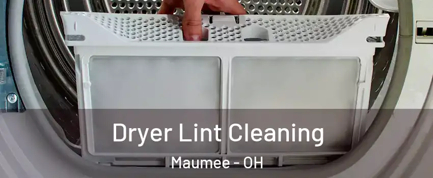 Dryer Lint Cleaning Maumee - OH
