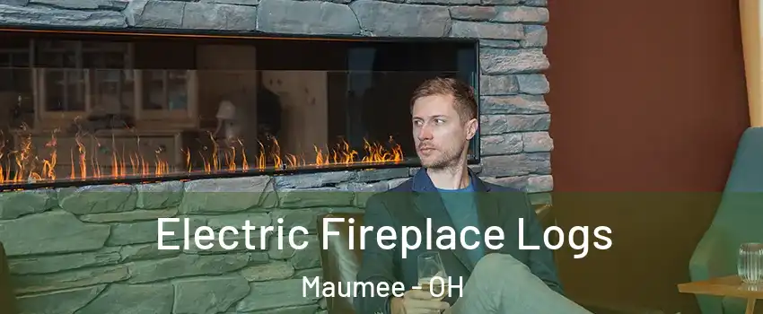  Electric Fireplace Logs Maumee - OH