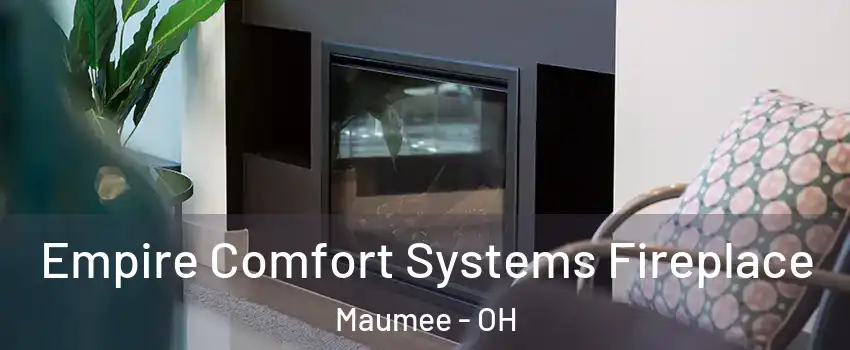  Empire Comfort Systems Fireplace Maumee - OH