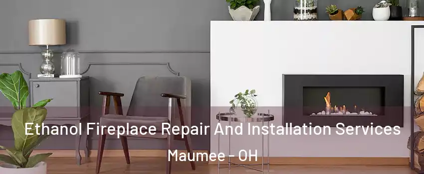  Ethanol Fireplace Repair And Installation Services Maumee - OH