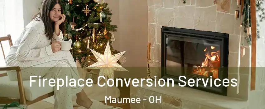  Fireplace Conversion Services Maumee - OH