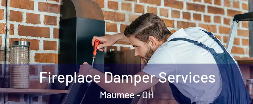  Fireplace Damper Services Maumee - OH