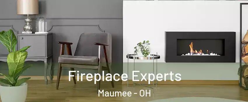  Fireplace Experts Maumee - OH