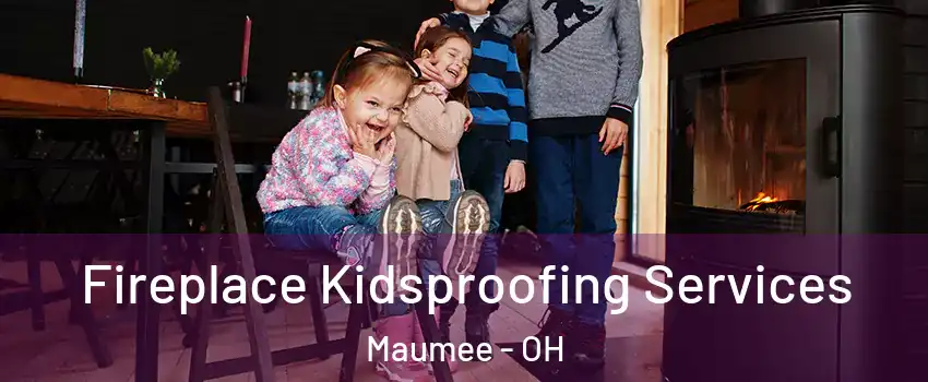  Fireplace Kidsproofing Services Maumee - OH