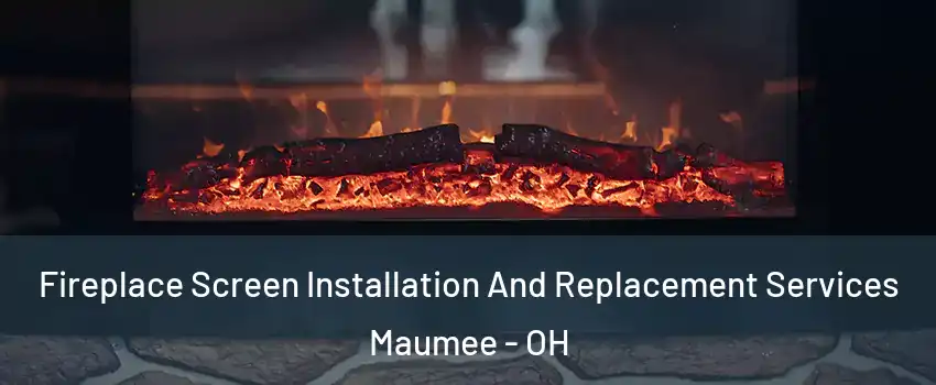 Fireplace Screen Installation And Replacement Services Maumee - OH