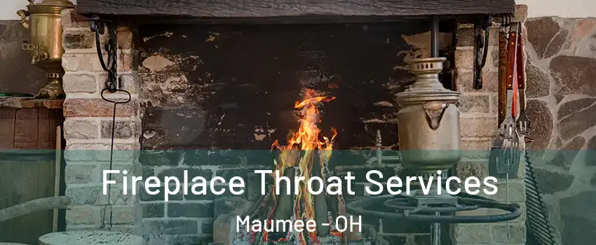 Fireplace Throat Services Maumee - OH