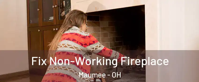  Fix Non-Working Fireplace Maumee - OH
