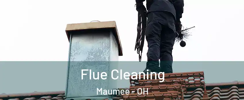  Flue Cleaning Maumee - OH