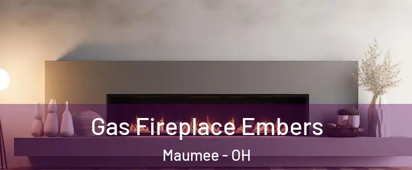  Gas Fireplace Embers Maumee - OH