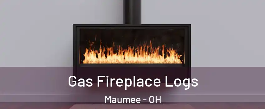  Gas Fireplace Logs Maumee - OH