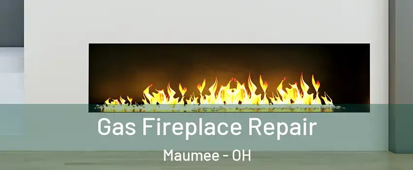  Gas Fireplace Repair Maumee - OH