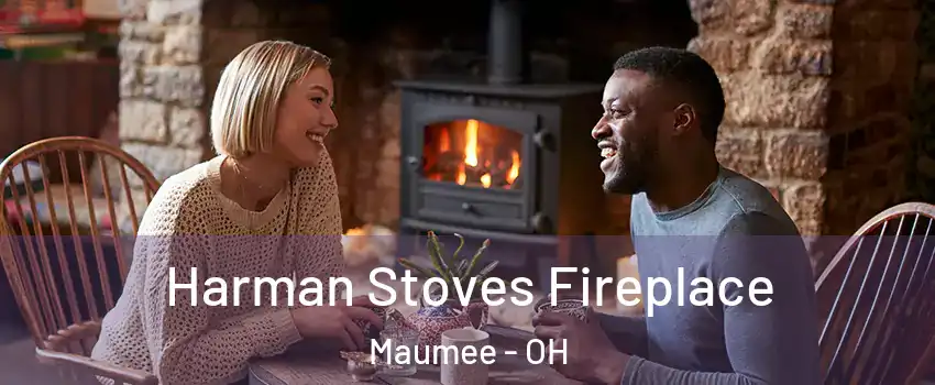  Harman Stoves Fireplace Maumee - OH
