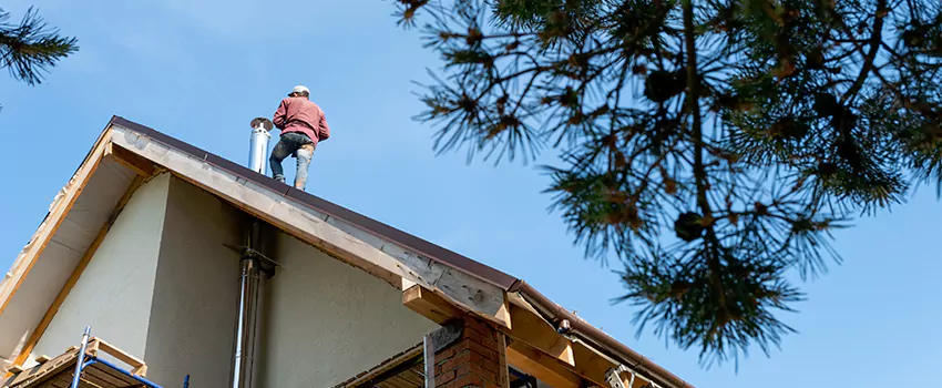Birds Removal Contractors from Chimney in Maumee, OH