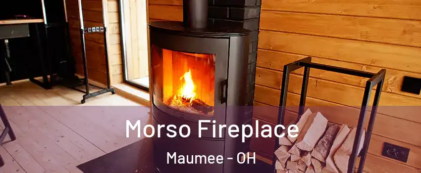  Morso Fireplace Maumee - OH