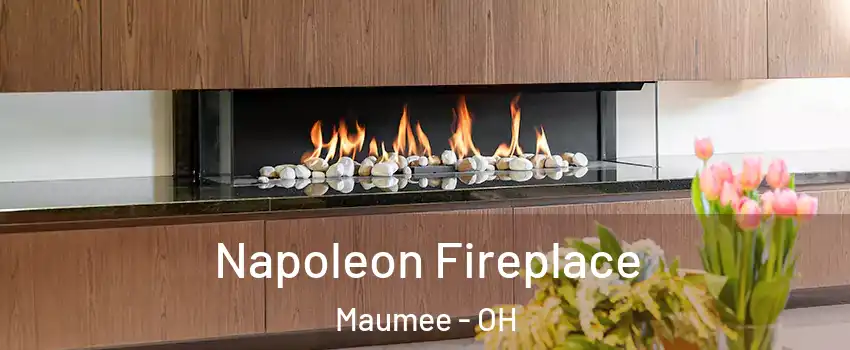  Napoleon Fireplace Maumee - OH