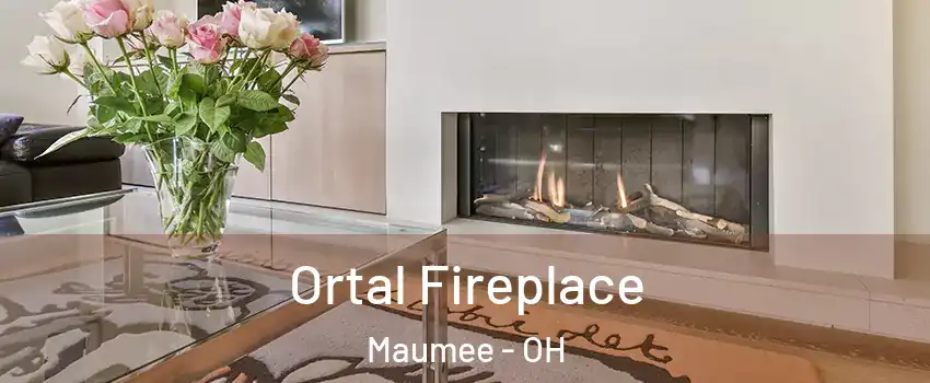 Ortal Fireplace Maumee - OH