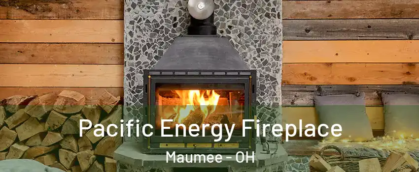  Pacific Energy Fireplace Maumee - OH