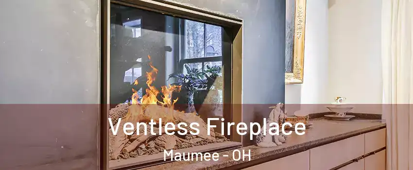  Ventless Fireplace Maumee - OH